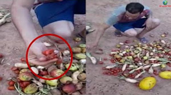 شوفو المؤونة ديال الخضر والفواكه كيفاش تتوصل للجنود المغاربة بالحدود