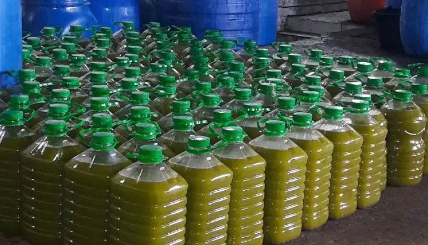 الـ"أونسا" ترد على الإشاعات التي رافقت سلامة زيت الزيتون