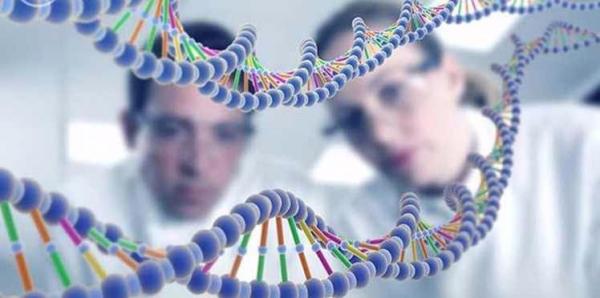 اليابان تسمح باللعب بمورثات البشر