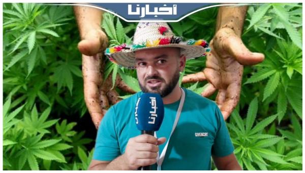 شاب شفشاوني: تقنين القنب الهندي غادي يكون عندو مردودية على اقتصاد المنطقة