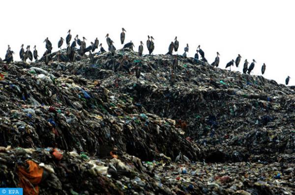 أصبح مرتعا للجرذان والفئران .. وزارة الطاقة تقرّ بخطورة مطرح سيدي يحيى الغرب