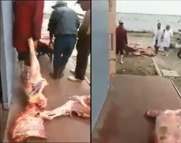 فضيحة مجزرة اليوسفية وأسواق لحومها : شوفو اش كتكلو