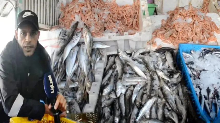 تجار السمك بطنجة: مكرهناش نبيعو الحوت للمواطن بثمن مناسب ولكن الله غالب