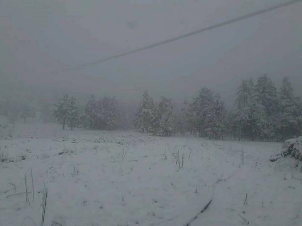 تساقط ثلوج كثيفة بجبال الريف