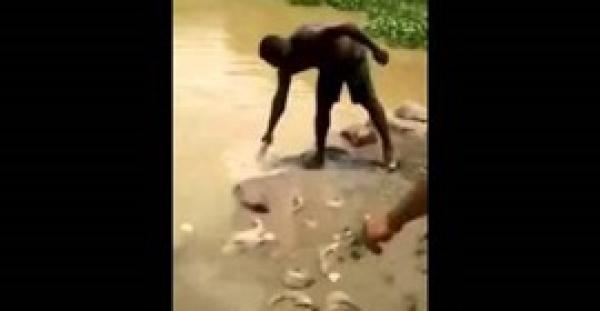 بالفيديو.. أسهل طريقة لصيد الأسماك