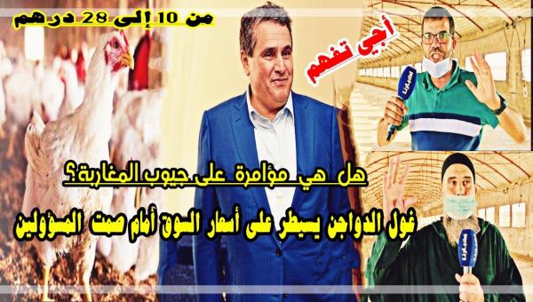 من المستفيد من ارتفاع أسعار "الدجاج".. مهنيو القطاع يكشفون خيوط مؤامرة تستهدف جيوب المغاربة
