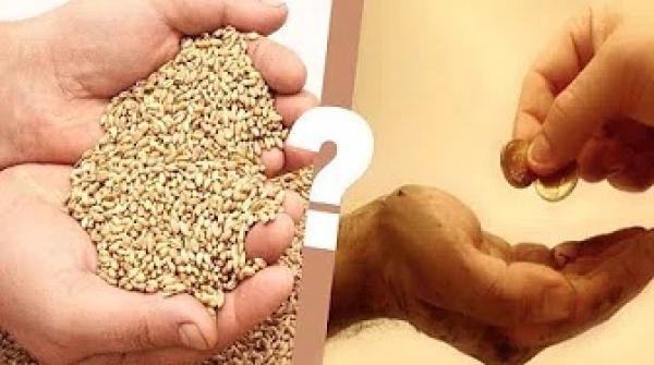 هل يبطل صيام من لا يخرج زكاة الفطر؟  !