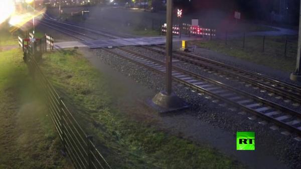 شاهد: دراج ينجو بأعجوبة من قطار مسرع