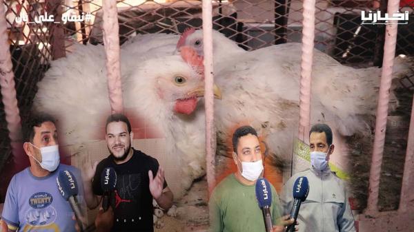 ارتفاع "صاروخي" في أسعار الدواجن ومهنيون يكشفون الأسباب