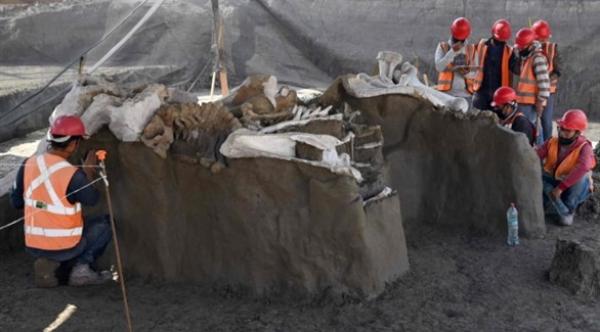 العثور على عظام حيوانات من حقبة ما قبل التاريخ تحت مطار قيد الانشاء في المكسيك