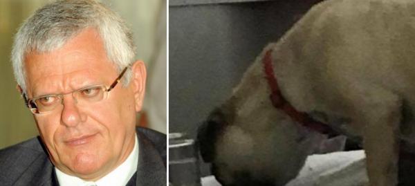 بعد واقعة تواجد كلب "البيتبول" مع الركاب .. اعفاء بنهيمة من قيادة "لارام" و هذا خليفته