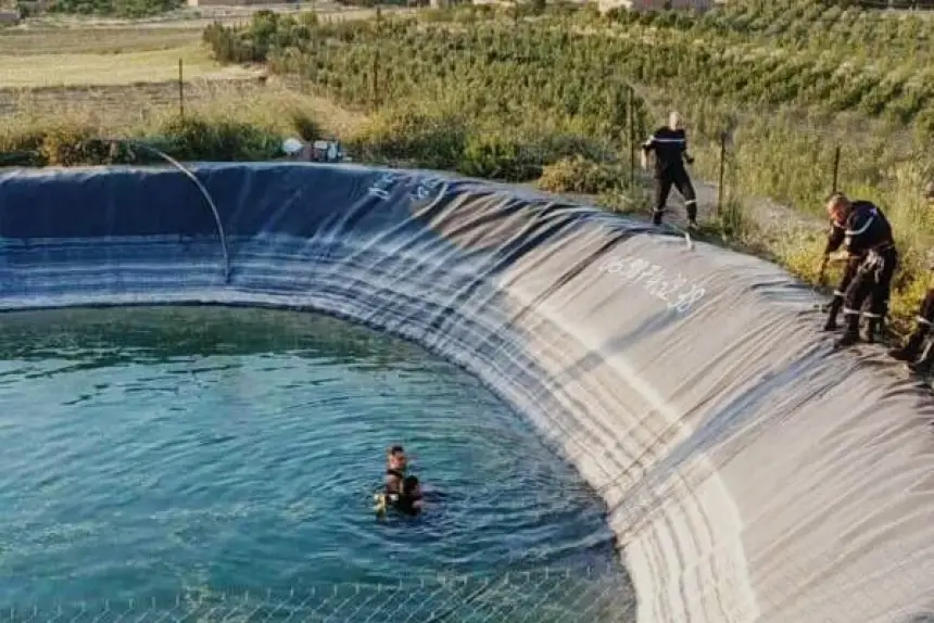 Sorry! Image not available at this time