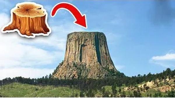 أضخم 10 أشياء في العالم..!!