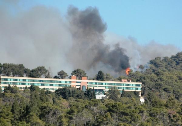 الصورة من الأرشيف