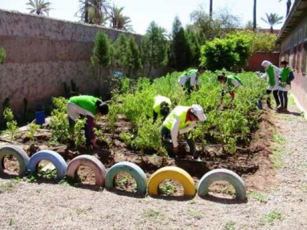 ورزازات.. تتويج "مدرسة كم" بالجماعة القروية تارميكت باللواء الأخضر الخاص بالمدراس الايكولوجية