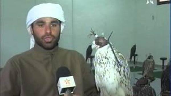 تربية الصقورفي افران.