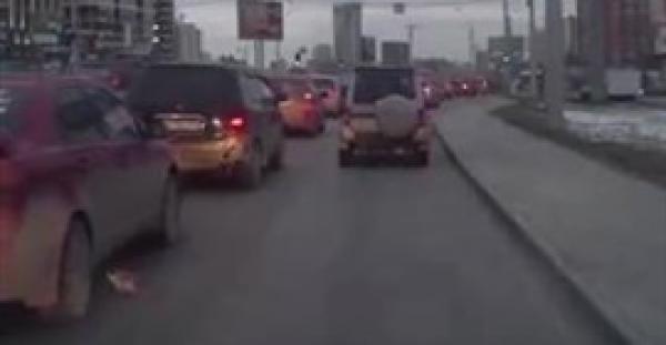 بالفيديو .. رجل ينقذ قطة من الدهس أسفل عجلات السيارات