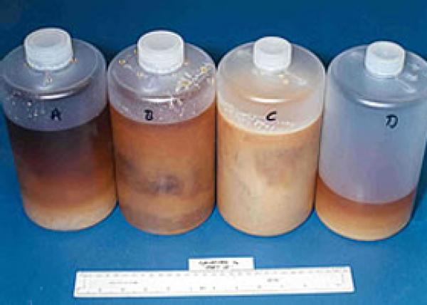 أمن مطار محمد الخامس يُحبط محاولة تهريب لترين من مخدر الكوكايين السائل والمركز