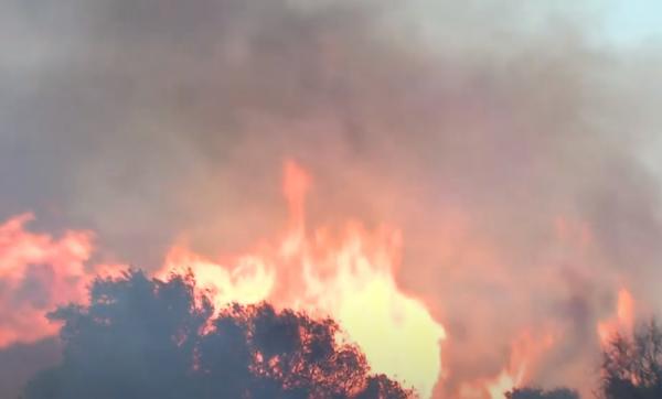 السيطرة على حريق بطنجة أتى على 36 هكتارا من الغابة الدبلوماسية