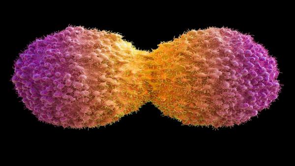 مسببات السرطان.. كيف تعمل وما أنواعها؟