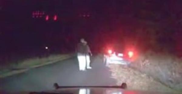 بالفيديو.. لحظة عودة غزال للحياة بعدما صدمته سيارة مسرعة