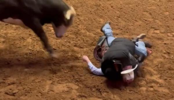 يُلقي بنفسه أمام ثور هائج لإنقاذ ابنه(فيديو)