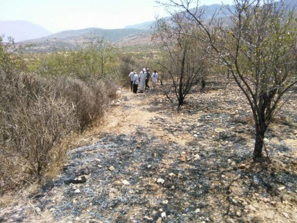 عاجل... النيران تلتهم أراضي فلاحية شاسعة  وتأتي على العشرات من أشجار الزيتون واللوز