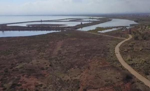 منتزه مارشيكا .. من مكب إلى محمية للطيور