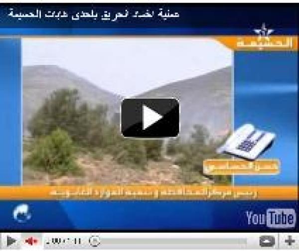 عملية اخماد الحريق باحدى غابات الحسيمة