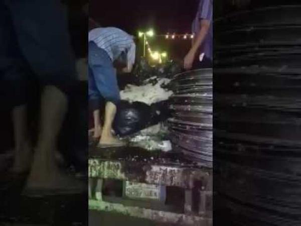 بذخ حفل زفاف في السعودية وإلقاء الطعام في القمامة