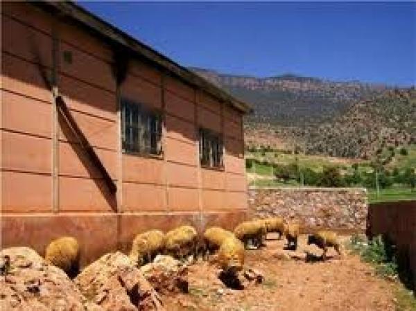 وزارة التربية الوطنية : هناك مؤشرات إيجابية لمستقبل المدرسة المغربية