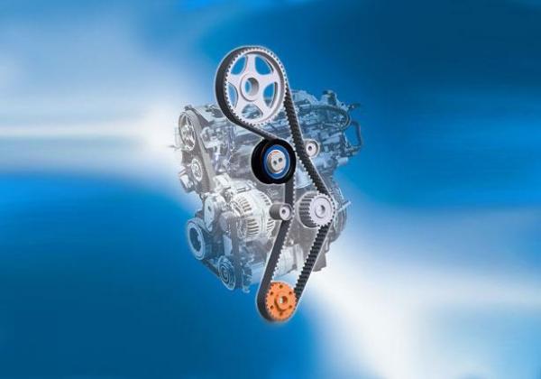 ''سير الكاتينة''أو "حبل المحرك ..الوظائف والمشكلات وكيفية تلافيها