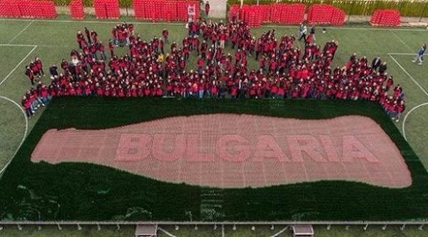 أكبر لوحة من علب الكولا الفارغة في العالم