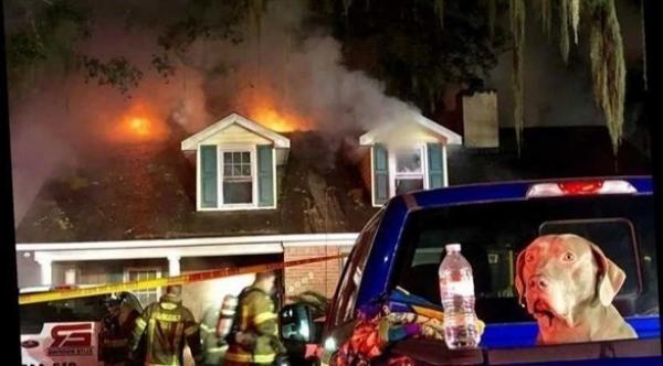 كلب شجاع ينقذ عائلة من 5 أفراد من الموت حرقاً بجورجيا الأمريكية