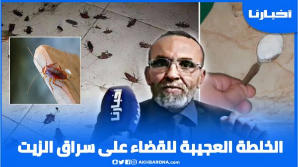 مواطن يتحدث عن خلطة عجيبة للقضاء على سراق الزيت مع حلول فصل الصيف