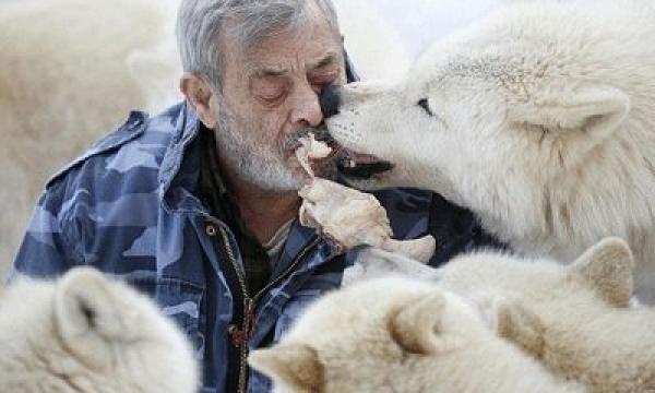 شاهد أكثر 10 صور أثارة لـ الرجل الذئب !