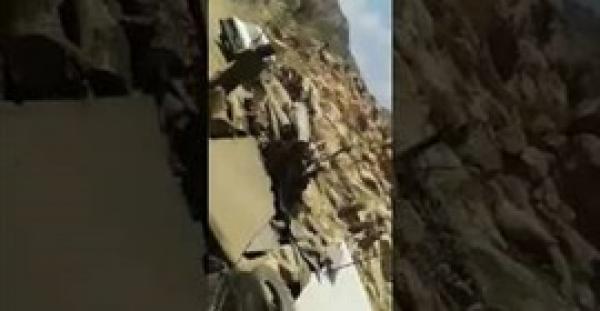 بالفيديو.. رجل يتخلص من جمل هائج بطريقة وحشية