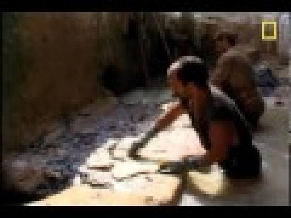 برنامج ناشيونال جيوغرافيك أخطر المهن - الدباغ - فاس 
