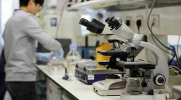 باحثون يبتكرون أمعاء تشبه أمعاء الإنسان