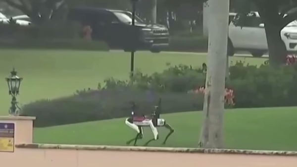 بالفيديو..كلاب آلية مسلحة تحرس منزل الرئيس الامريكي  ترامب