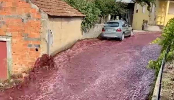 في واقعة مثيرة.. سيول من الخمر تجتاح شوارع قرية أوروبية (فيديو)