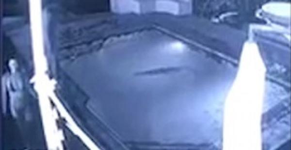 بالفيديو.. تمساح يهاجم شابا وفتاة داخل حمام سباحة