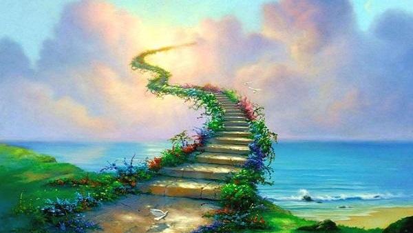 رحله الى الدار الاخره