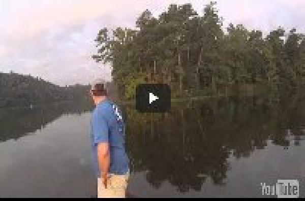 فيديو جميل يحصد 4مليون مشاهدة.. كيف أنقذ شاب قطط من النهر؟