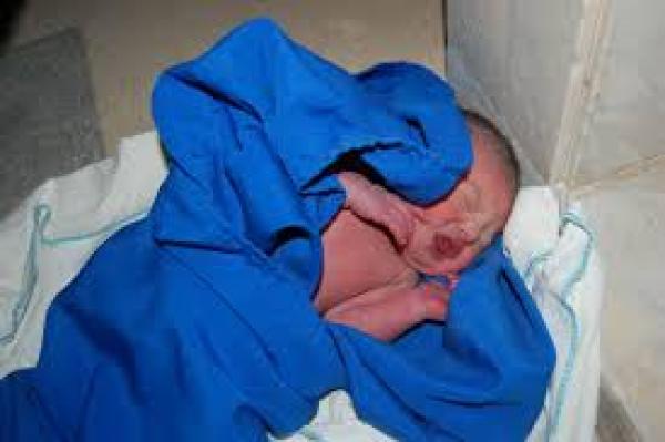 قمة البشاعة...الكلاب تنقض على رضيع حديث الولادة بخنيفرة وتلتهم أطرافه