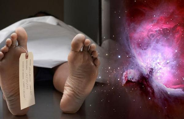 أول دليل علمي يُثبت وجود حياة أخرى بعد الموت