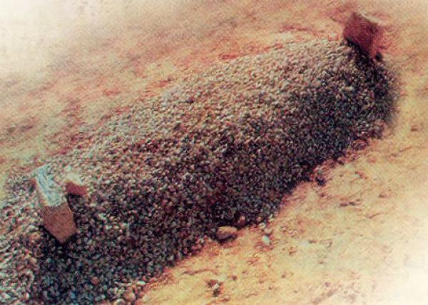 من هو الشَّهيد في الإسلام؟