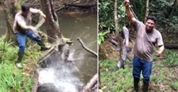 براعة رجل يصطاد سمكة ضخمة بحبل فقط (فيديو)