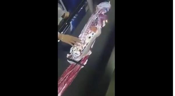 وداعا السكانير و الأخطاء الطبية .. إليكم آخر ما كاين في العلم