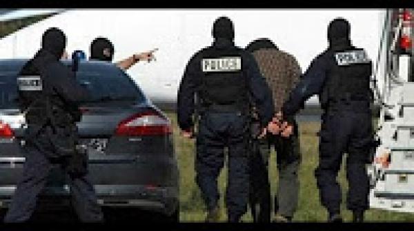 بلجيكا تضع حدا لمواكب حفلات زواج المغاربة وتتخذ هذه الاجراءات